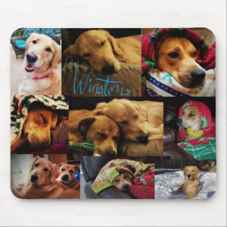 Leeloo & Winston Montage Mousepad