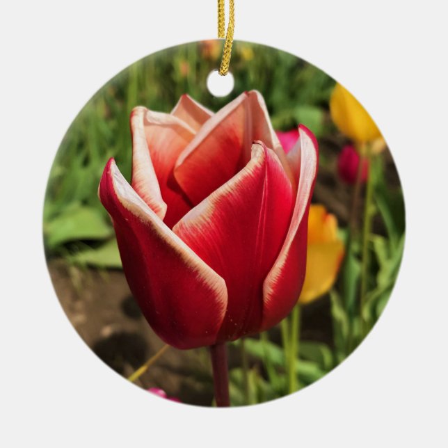 Leen Van Der Mark Tulip, Oregon Ceramic Ornament (Front)