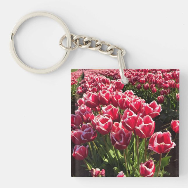 Leen Van Der Mark Tulips, Oregon Keychain (Front)