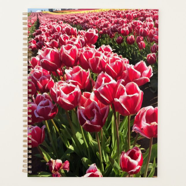 Leen Van Der Mark Tulips, Oregon Planner (Front)