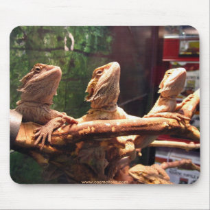 Leezard Trio Mouse Pad