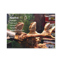 Leezerds Business Cards