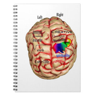 Left and Right Side of Brain Notebook