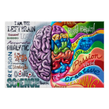 Left and right side of the brain