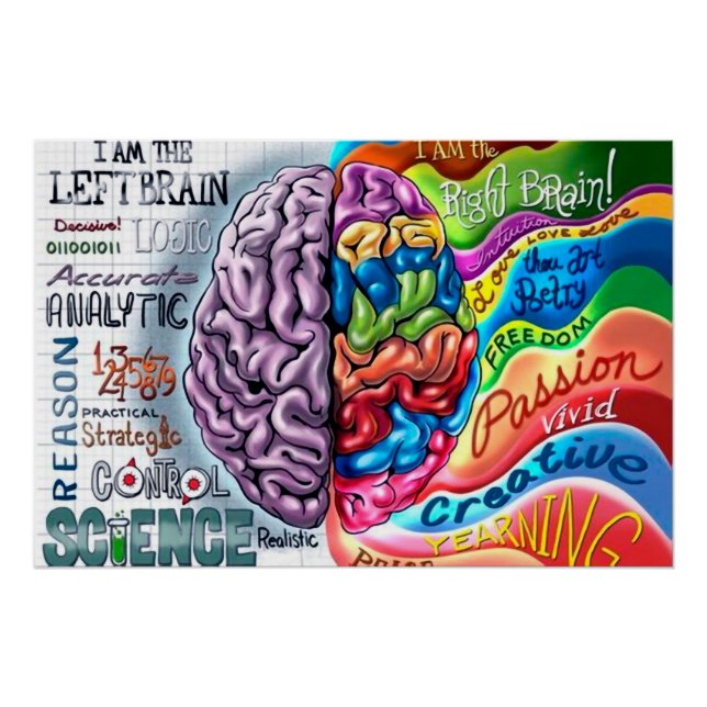 Left and right side of the brain poster (Front)