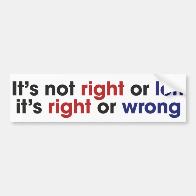 Left and Right Wing Bumper Sticker (Front)