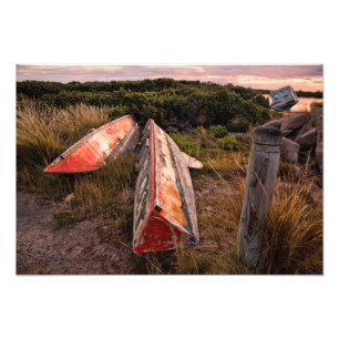 Left Behind Photo Print