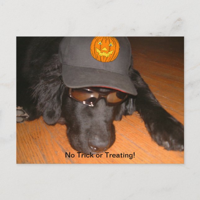 Left Behind This Halloween Postcard (Front)