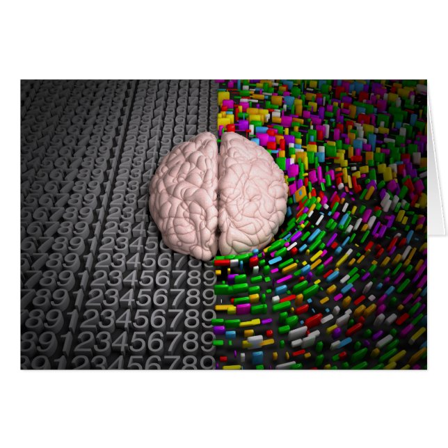 Left Brain & Right Brain (Front Horizontal)