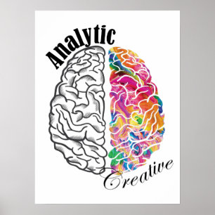 Left Brained Right Brained Analytic Creative Brain Poster