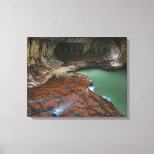 Left Fork   Zion National Park, Utah Canvas Print