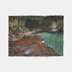Left Fork   Zion National Park, Utah Fleece Blanket