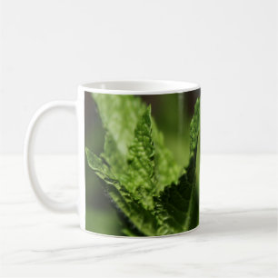Left-Handed Mint Photograph Mug