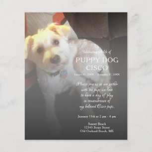 left side photo memorial