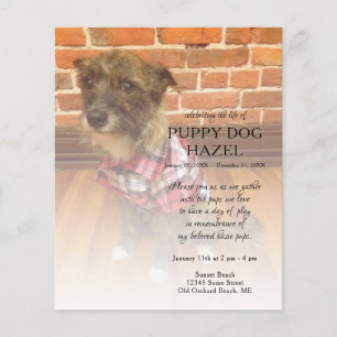 left side photo memorial