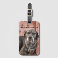 Lefty Luggage Tag