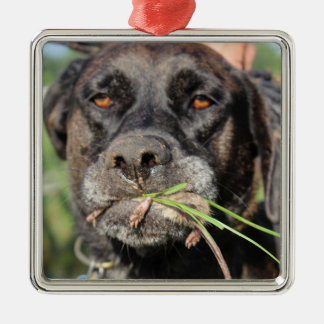 Lefty & The Vole Ornament