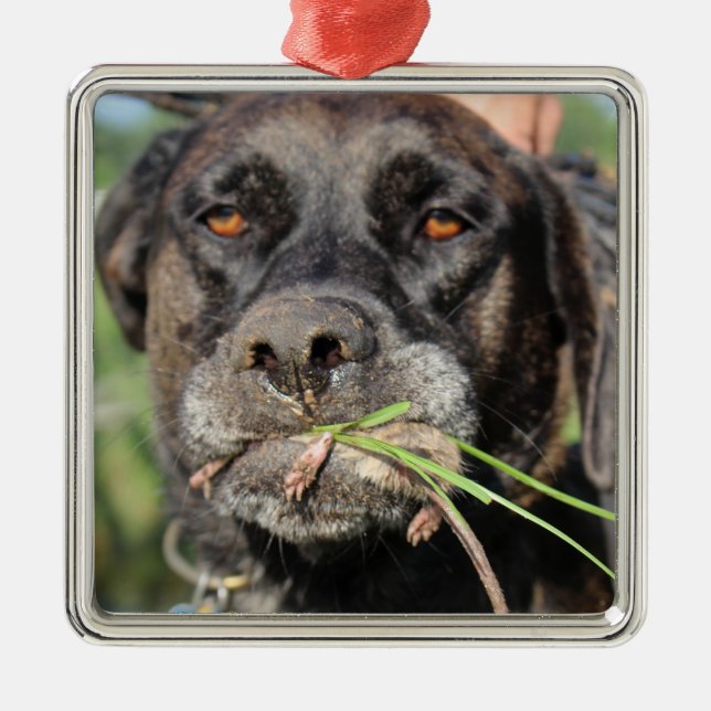 Lefty & The Vole Ornament (Front)