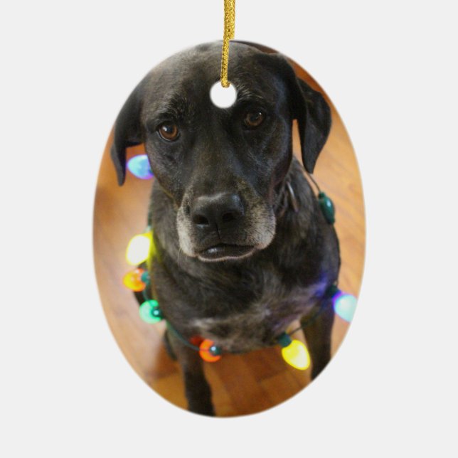 Lefy + Lights Hoiday Ornament (Front)