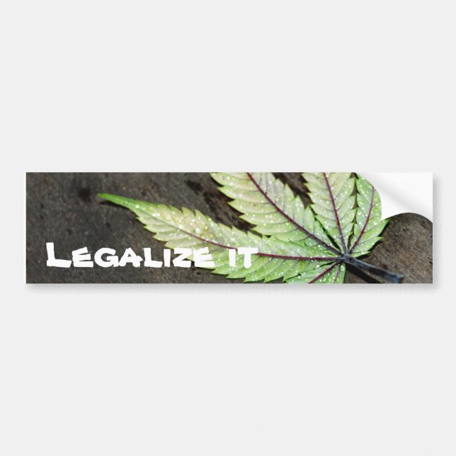 Legalize it-Bumper Sticker (Front)
