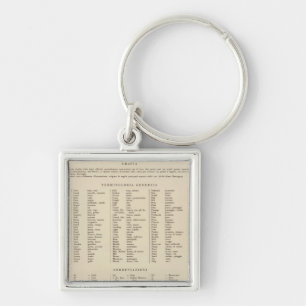 Legend 13839 Wash, Ore, Ida Keychain