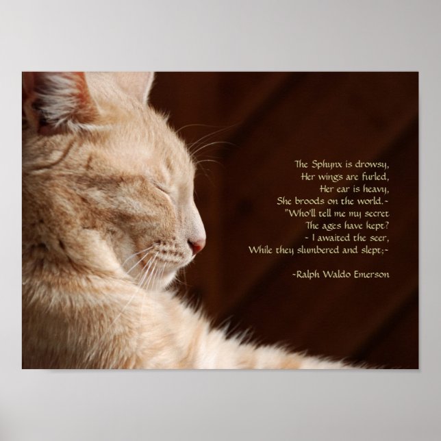 Legend of the Sphynx Poster (Front)