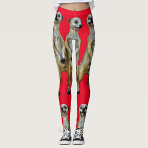Leggings 3 Meerkats debats Thunder_Cove