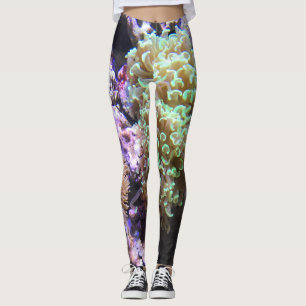 Leggings Actinies