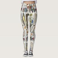 Adolphe Millot Dark Academia Vintage Plume d'Oisea