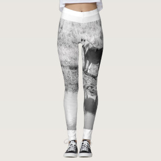 Leggings Afrique - Noir et Blanc - Réflexion du lion