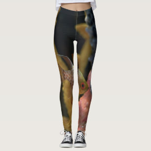 Leggings Animaux marins