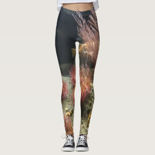 Leggings Aquarium