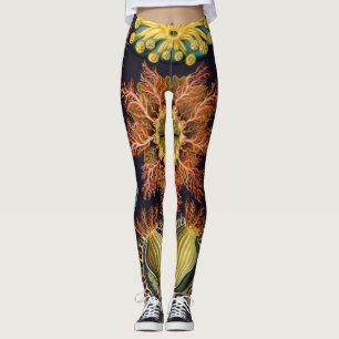 Leggings Ascidiae par Ernst Haeckel, Animaux Marins Vintage