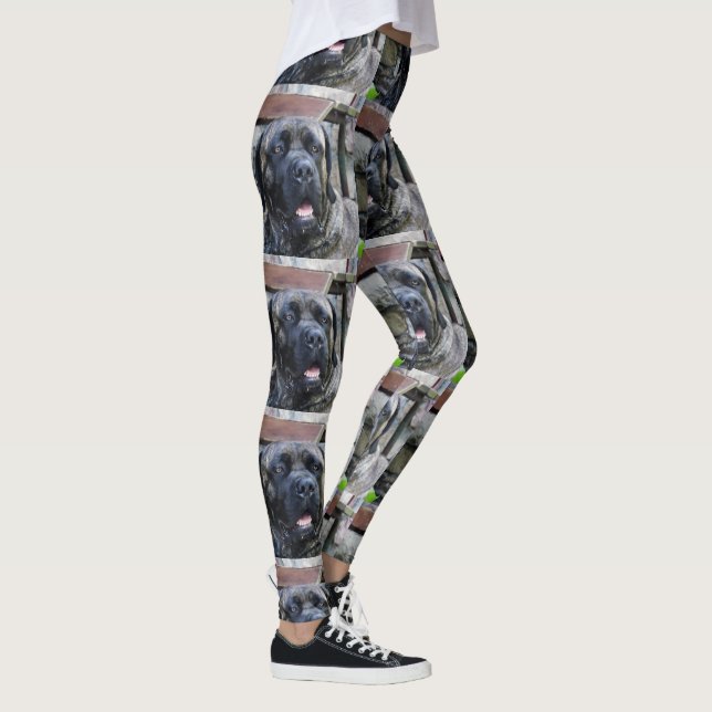Leggings bracelet gris de canne corso (Droite)
