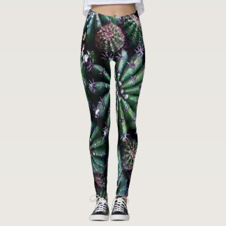 Leggings Cactus de la maison : Nourriture belle conception