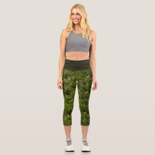 Leggings Capri Capris vert feuille de palme haute taille