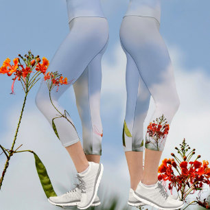 Leggings Capri Fleurs de flamboyant royal sur fond bleu