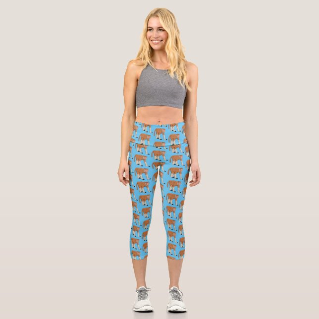 Leggings Capri Illustration drôle de singe proboscis (Recto)