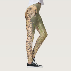 Leggings Cheetah photographié dans la qualité sauvage