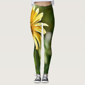 Leggings de tournesol