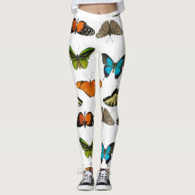 Diverses couleurs de papillons et papillons design