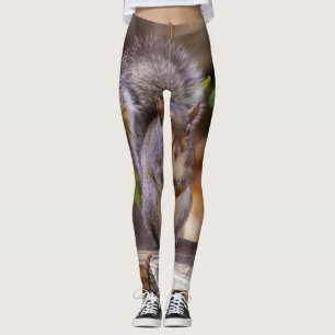 Leggings Écureuil mendiant