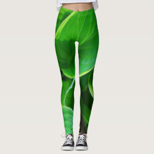 Leggings Feuille de plantes hosta
