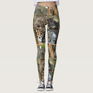 LEGGINGS GRANDS CADEAUX