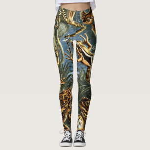 Leggings Grenouilles Batrachia par Ernst Haeckel