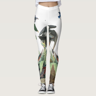 Leggings Guêtres bleues d'oiseau d'oiseau bleu de dingue d