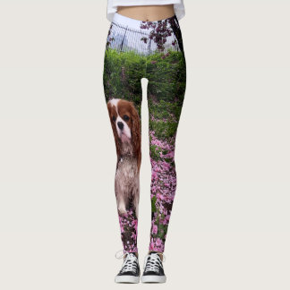 Leggings Guêtres cavalières d'épagneul du Roi Charles de