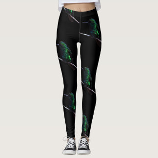 Leggings Guêtres d'amant de colibri