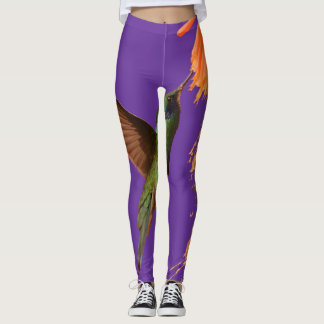 Leggings Guêtres d'amant de colibri