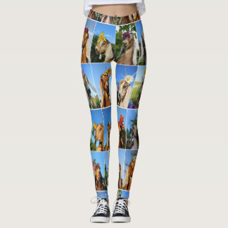 Leggings Guêtres de chèvre de bébé